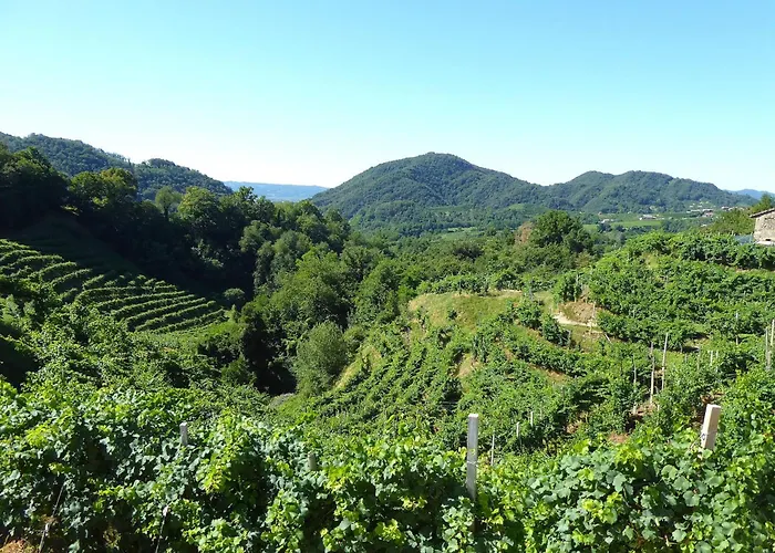 Dolce Bosco Montebelluna